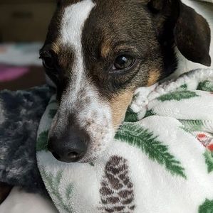 Meet your Posher, Maryann